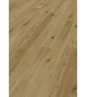 M parket tbasic rnevada1 sincron